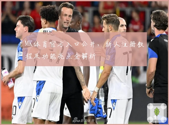 MK体育官方入口公开,新人注册教程及功能亮点全解析
